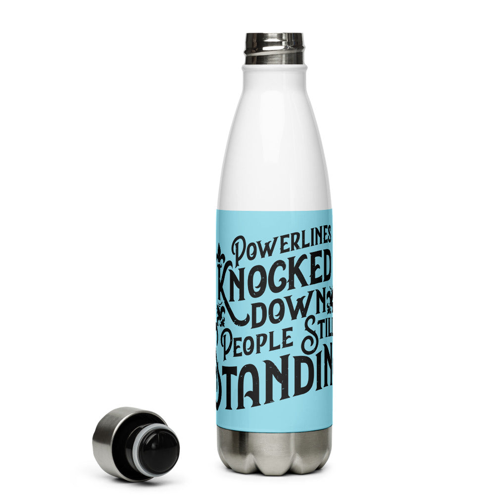 Stainless Steel Water Bottle  Vegan Lover Beyond Cool – Nudogen