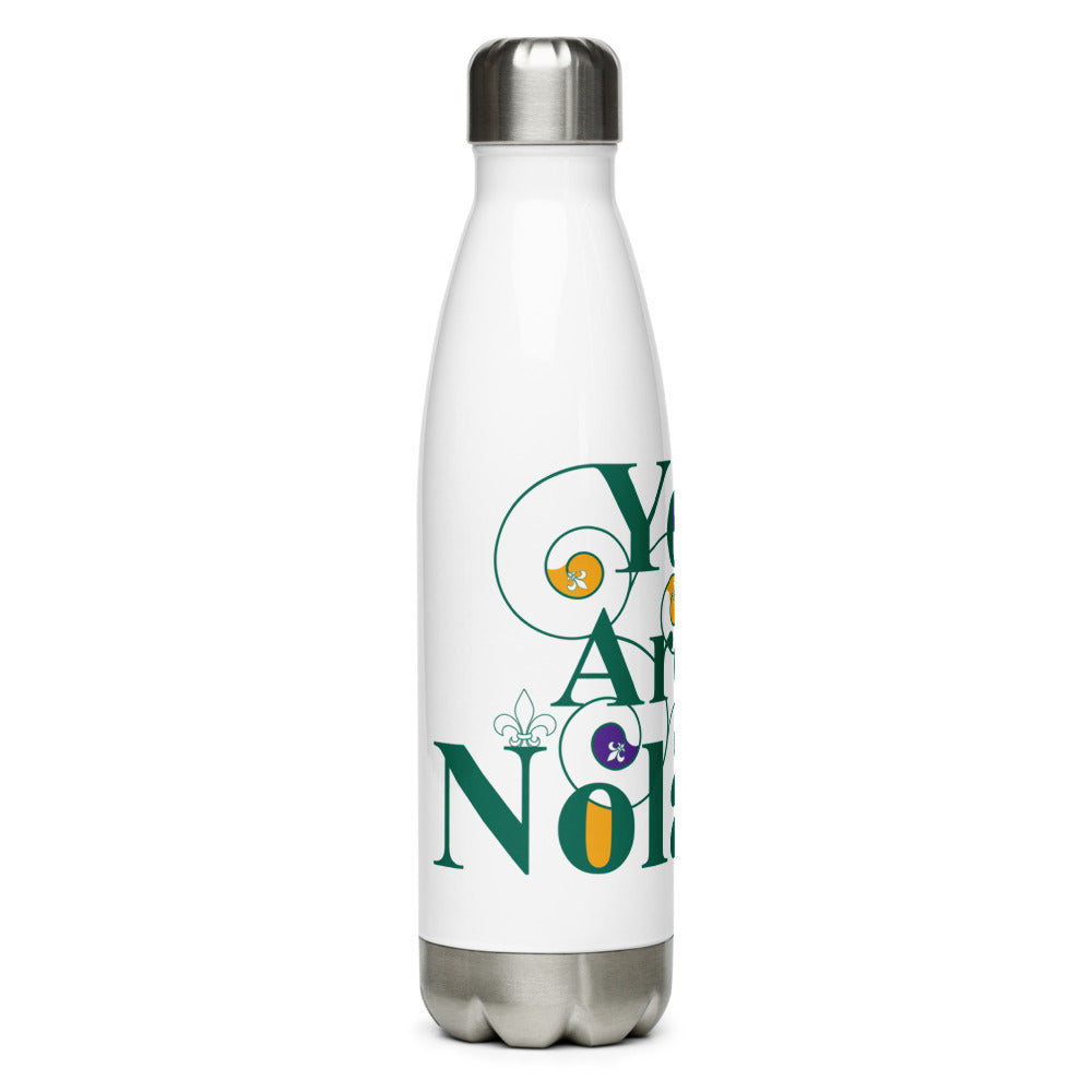 Stainless Steel Water Bottle